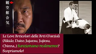 Maestro di Aikido risponde a chi crede che le Leve Articolari (dell'Aikido e Daito) non funzionino!