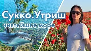 #анапа Сукко. Большой Утриш. Нашли чистое море!!! Пробирались на поле с маками!!!