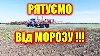 ВСЕ МЕРЗНЕ МОРОЗ ЗНИЩУЄ ПОСІВИ НА ПОЛЯХ