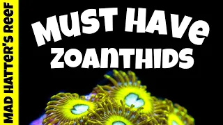 Top 10 Must Have Zoanthids