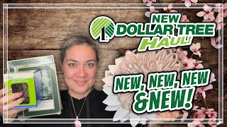 ***  A MUST SEE NEW Dollar Tree Haul *** NEW NEW NEW! 4/17/24