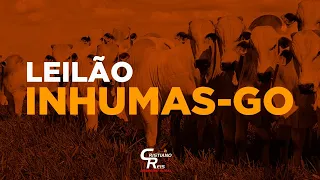 VALE DO BOI | INHUMAS-GO 21/03/2023 | LEILÃO DE GADO AO VIVO