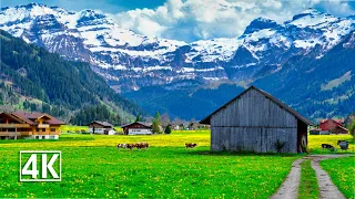 Switzerland 🇨🇭 Lenk im Simmental, the most beautiful mountain backdrop in the Alps