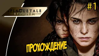 ✅A Plague Tale: Requiem✅ПРОХОЖДЕНИЕ Часть#1 от MamyraGames✅