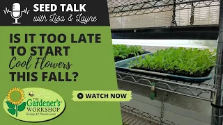 Seed Talk #61 - Is It Too Late to Start Cool Flowers This Fall?