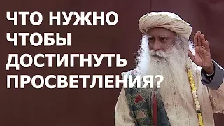 Что нужно чтобы достигнуть просветления? | #Садхгуру