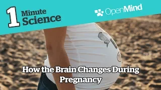 How the Brain Changes During Pregnancy | Science pills