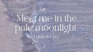 Lana del rey - Meet me in the pale moonlight (cover) • Tradução (original nos comentários)