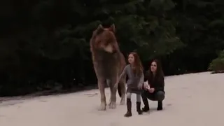 TTSBD part 2: Renesmee is catching snowflakes and Irina sees her — Mackenzie Foy — 2012