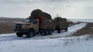 День второй  Завершили вывоз.