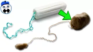 10 Everyday Things That Look Nothing Like They Used To