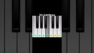 Ve kamleya piano tutorial #shorts #shortsvideo #viral