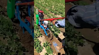 Amazing Working Machines On The Peanut Farm #satisfying #shortsvideo