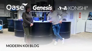 Modern Koi Blog #5799 - Dies und das zum Thema Schalfkrankheit (CEV)