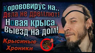 За новой крысой в "Zombieland"! 😁 Очередное спасение, вопреки всему. (Wild Rats | Дикие Крысы)