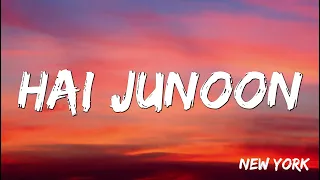 Hai Junoon | New York | John Abraham, Katrina Kaif, Neil Nitin Mukesh | KK   Pritam  ( Lyrics )