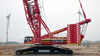 Liebherr - LR 1600/2 crawler crane during wind turbine erection