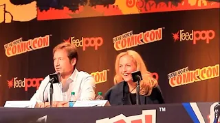 The X-Files New York Comic Con 2013 Gillian Anderson/ David Duchovny - Legendado em Português