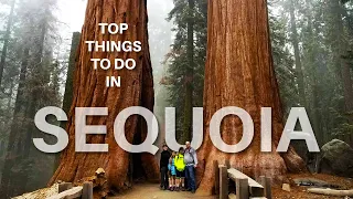 Top 10 Things To Do In Sequoia National Park, California