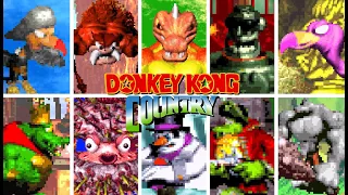 DONKEY KONG COUNTRY SERIES (GBA) - All Bosses