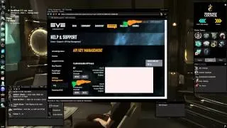 EVE Online - what is an API & how to set it up