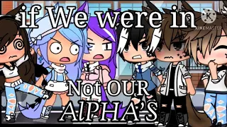 IF i was in "YOUR NOT MY ALPHA" ||430 Special (late)  Gacha life skit {GLMM} ||enjoy|| read desc