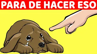 15 Cosas Que Debes Dejar De Hacerle A Tu Perro