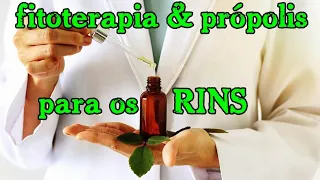 Fitoterápicos e Própolis: AJUDAM Pacientes Com NEFRITES e em Hemodiálise ? | Cortes Renais Ep. 30