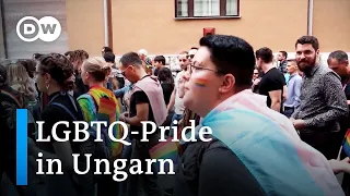 Ungarn: Transgender Junge gegen LGBTQ-feindliches Gesetz | Fokus Europa