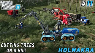 Cutting trees on a hill, harvesting wood chips | Holmakra Forestry | Farming simulator 22 | ep #11