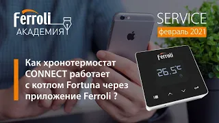 Fortuna+CONNECT: как хронотермостат  работает с котлом через мобильное приложение Ferroli?