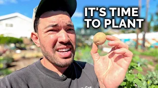 It's Finally Time to Plant POTATOES!