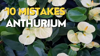 10 MISTAKES Growing Anthuriums | Flamingo Flower Care Tips