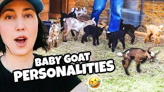 Meet OUR new BABY GOATS & all their hilarious personalities!