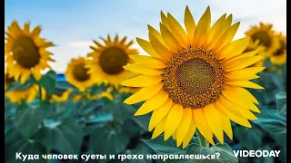 Куда человек суеты и греха направляешься? - Зов Любви