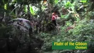 Flight of the Gibbon - Ziplining near Bangkok Thailand