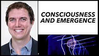 Consciousness and emergence