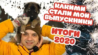 Щенки-Выпускники из 2020. Какими они стали. Итоги года.