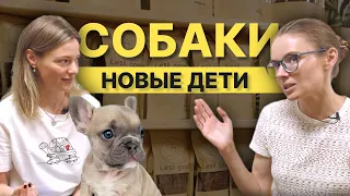 БИЗНЕС ДЛЯ СОБАЧНИКОВ: лакомства и рационы для собак, груминг салон