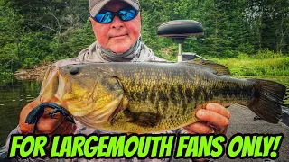 LARGEMOUTH BASS FANS ONLY- 3 Great Baits for Heavy Cover