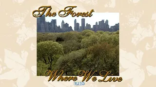 The Forest Where We Live | 1997