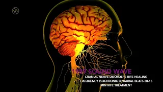 CRANIAL NERVE DISORDERS RIFE HEALING FREQUENCY ISOCHRONIC BINAURAL BEATS 30-15 MIN RIFE TREATMENT