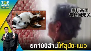 เศรษฐีนีชาวจีน ยกทรัพย์สมบัติ 100 ล้านให้สุนัข-แมว เหตุเพราะลูกหลานไม่เคยมาดูแล | TOPNEWSTV