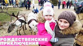 РОЖДЕСТВЕНСКИЕ ПРИКЛЮЧЕНИЯ: Узнай где находятся олени Деда Мороза и упряжки с хаски.