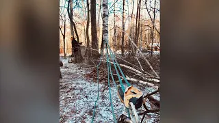 Как спилить наклонное и опасное дерево