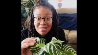 Plant Mail Unboxing!!!