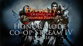 Divinty Original Sin EE Honor Mode Co op IV (Silverglen) by Fextralife