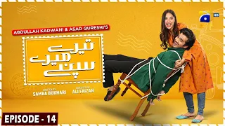 Tere Mere Sapnay Mega Episode 14 - [Eng Sub] - Shahzad Sheikh - Sabeena Farooq - 24th March 2024