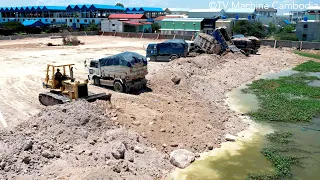 EP2 Experience Operating Of Working Dozer Pushing Soil & Truck5T Unloading Huge Project LandFill Up