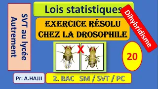 Exercice résolu dihybridisme chez la drosophile: linkage complet et incomplet - carte factorielle